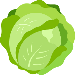 Profile Picture of CABBAGE