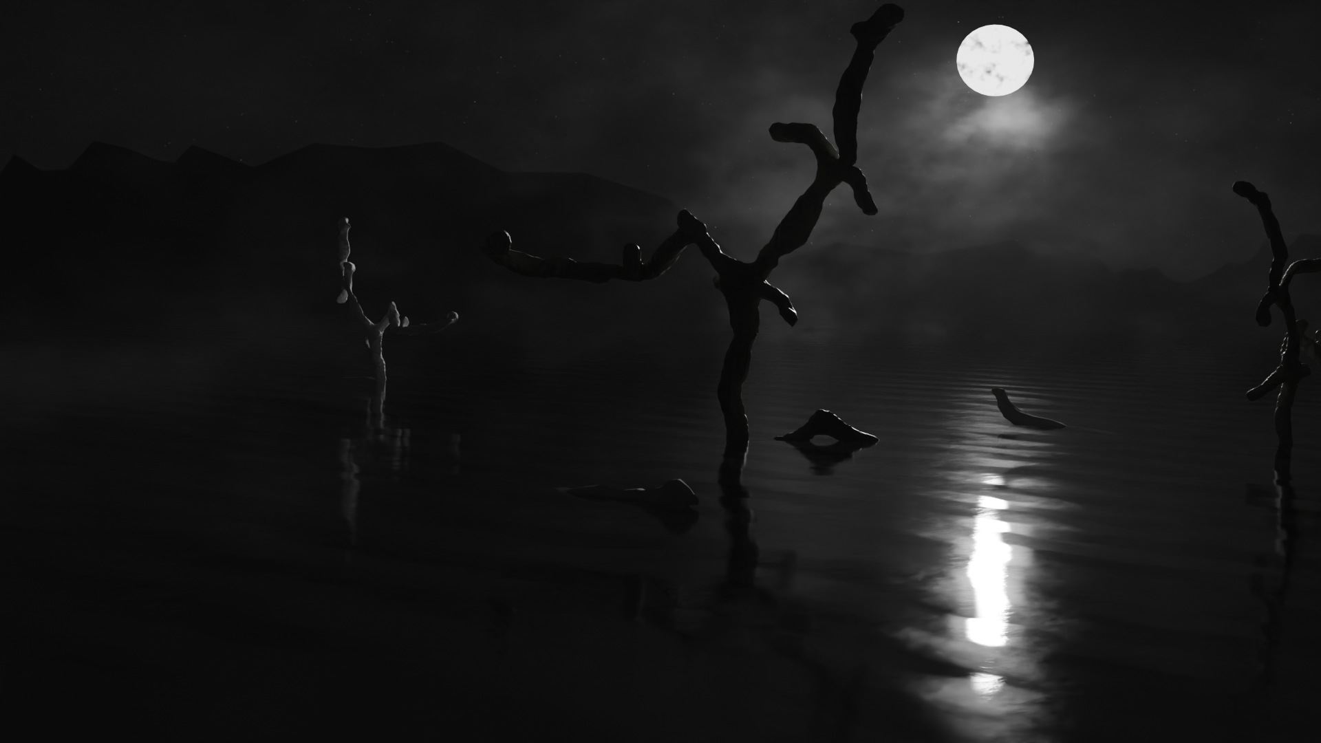 Dark Lake with nice moon